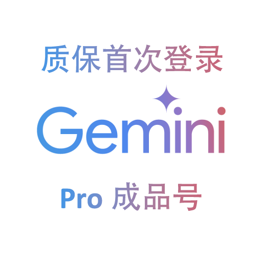 Gemini Pro 12个月成品号商品图